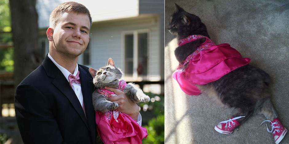 ���������д�è���ϯ��� ���������޳��а�[��ͼ] 