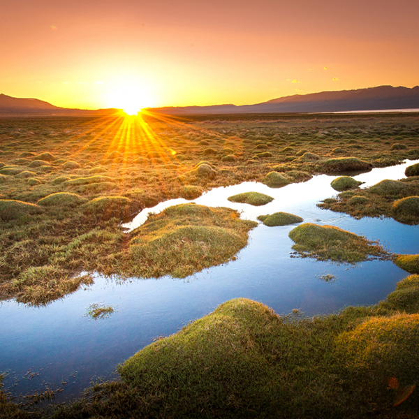 �������⣬���˻òʺ�