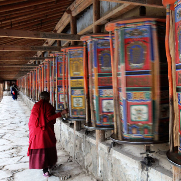 ������� ��ظ�ԭ�Ĵ���[��ͼ]