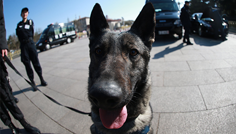 �찲�ŵ��ҳ���ʿ“������”��