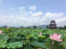 ��Ķ�ɻ�ӭ���� “��������”������Լ�ļ�[��ͼ]