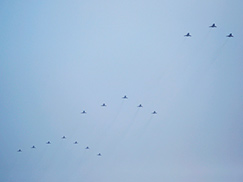 �߻����ڶ��ݶӽ��ܼ���[��ͼ]